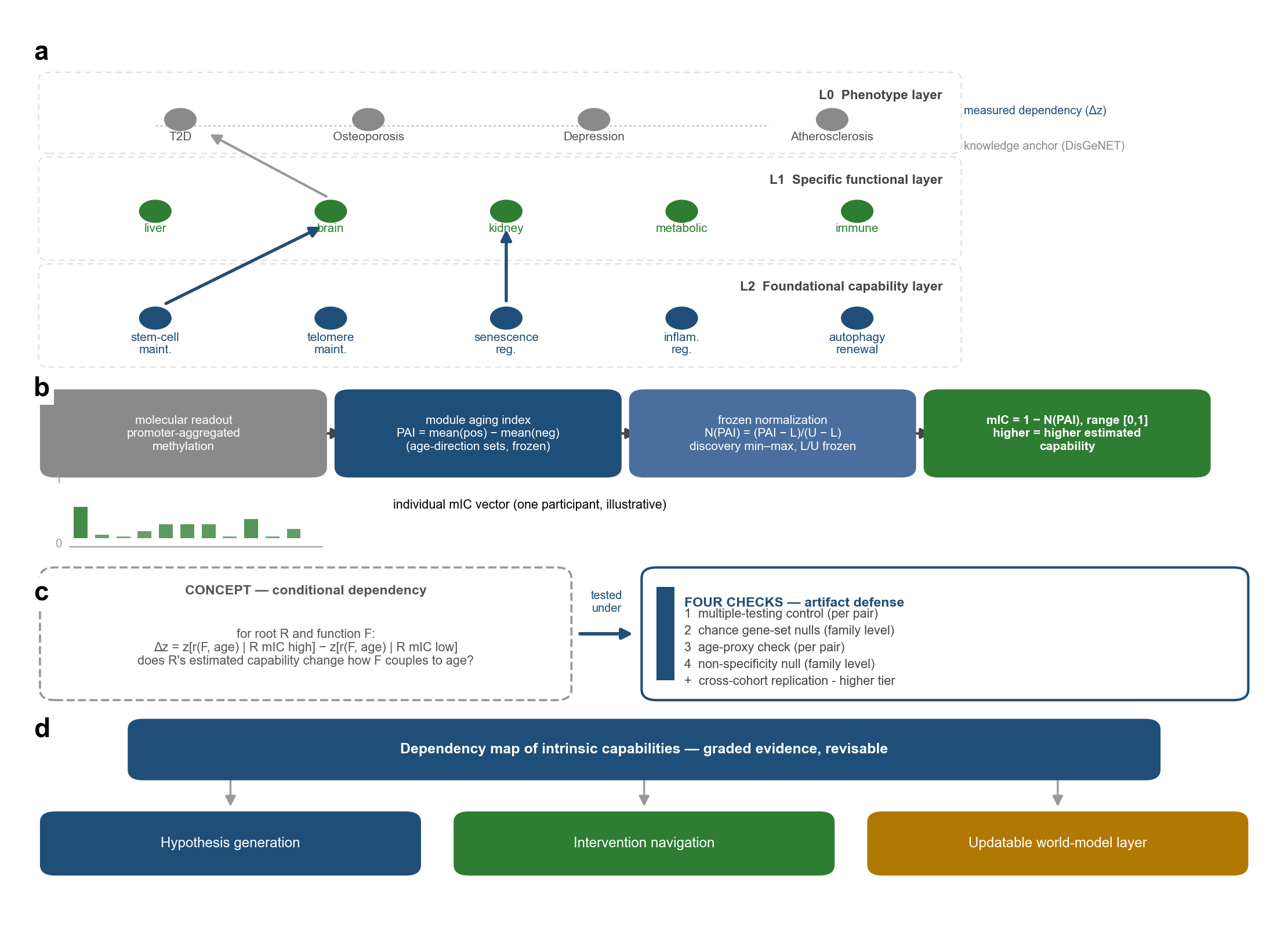 Fig. 1: the map spans three levels, from clinical phenotype to specific functions to foundational capabilities.