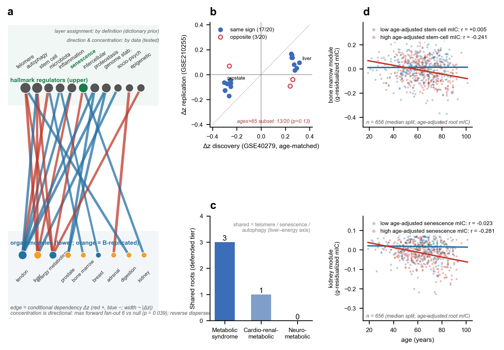 Fig. 2: the hallmark–organ dependency network and the bone-marrow worked example, with scatter plots by hallmark-score group.